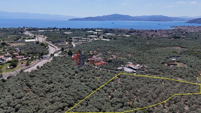 Image No.4-Property for sale