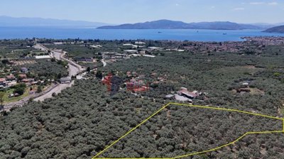 81f6f6920d4c4a5eb560b7c3c1ccc4c3