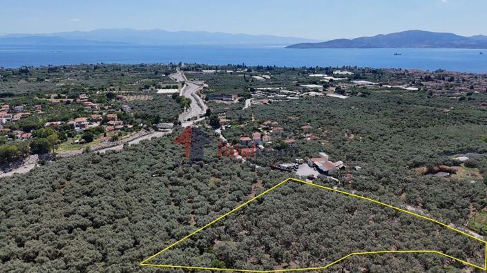 Image No.5-Property for sale