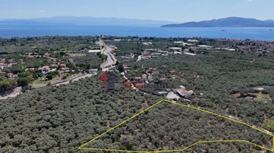 6fdeb0dd3c064aea87b52cc084dafdf8