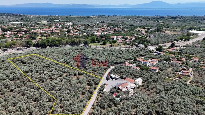 Image No.6-Property for sale