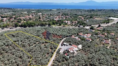 5d6c9e30a26c4f419cd0905c84813b66