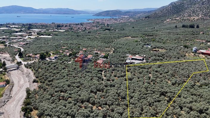 Image No.7-Property for sale