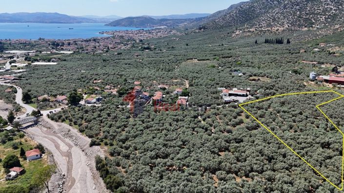 Image No.8-Property for sale