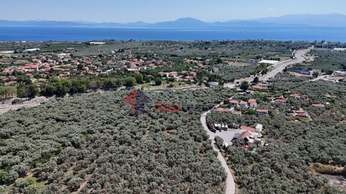 Image No.9-Property for sale