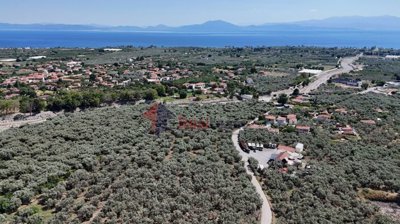 004b35bd18584e36bd7d31ea7d1190ed