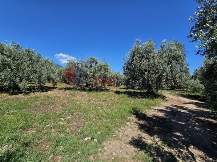 Image No.11-Propriété à vendre à Artemida