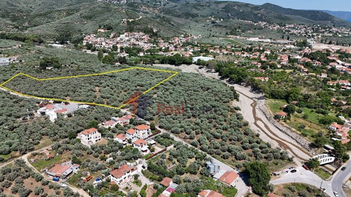 Image No.12-Propriété à vendre à Artemida