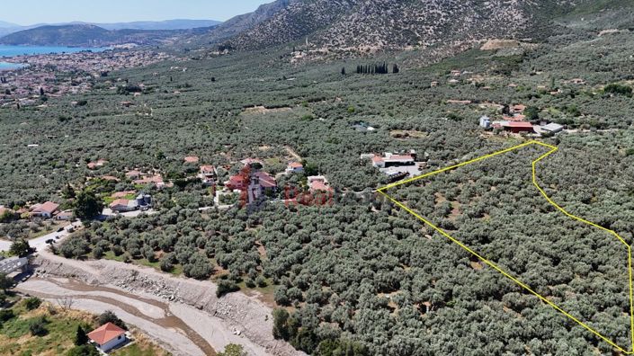 Image No.17-Propriété à vendre à Artemida