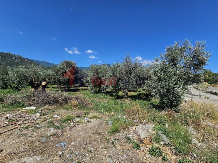 Image No.19-Propriété à vendre à Artemida