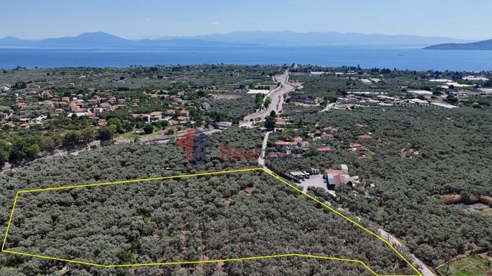 Image No.2-Propriété à vendre à Artemida