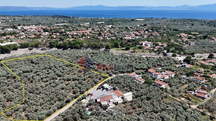 Image No.3-Propriété à vendre à Artemida