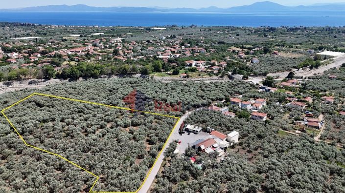 Image No.4-Propriété à vendre à Artemida