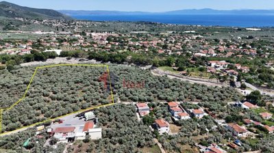 6f2e255d5ff44291b65c5bdb199141ba