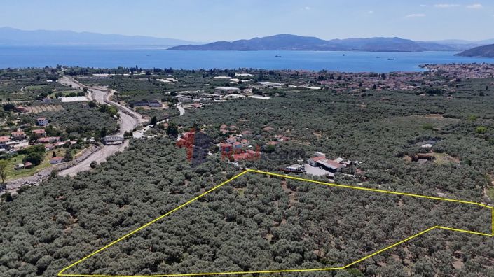 Image No.6-Propriété à vendre à Artemida