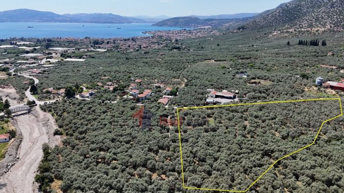 Image No.7-Propriété à vendre à Artemida