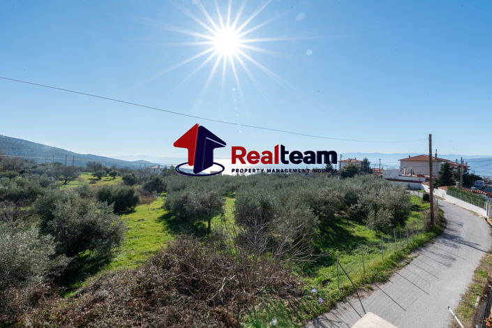 Image No.21-Appartement de 2 chambres à vendre à Katochori