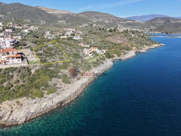 020a07ce78924cf99cc1fe4df69b9a0d