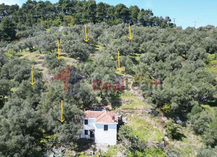 Image No.10-2 Bed Property for sale