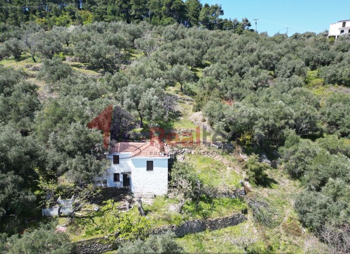 Image No.11-2 Bed Property for sale