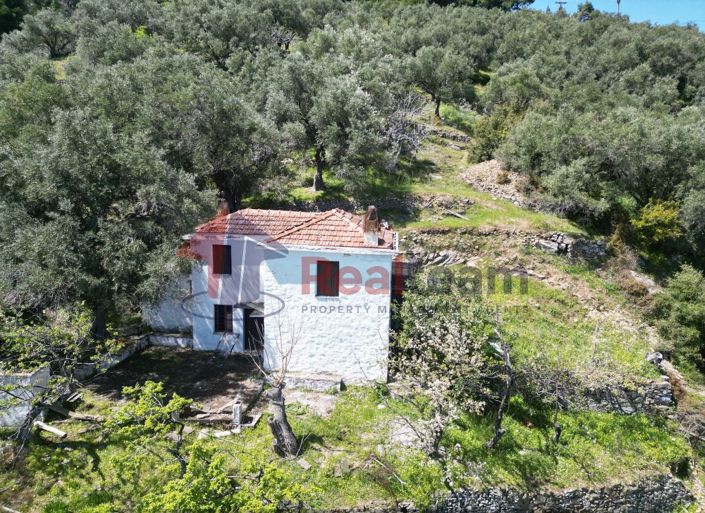 Image No.12-2 Bed Property for sale