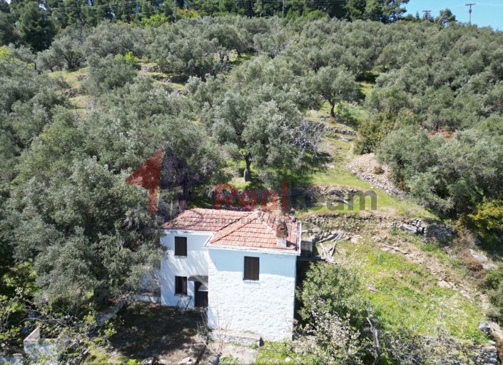 Image No.13-2 Bed Property for sale