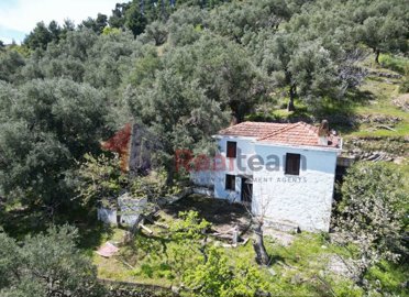 48bb33ce5bb64b009474b612806a2981