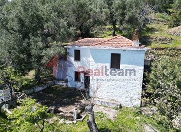 d93ff79882d04a21aadbb23f0398f466