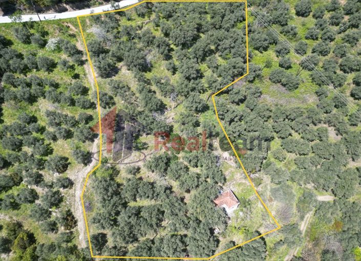 Image No.2-2 Bed Property for sale