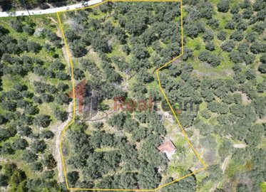 d0d604a750024b21af65faa1d7b33b64