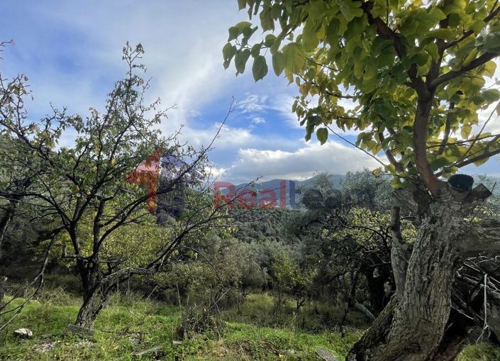 Image No.29-2 Bed Property for sale