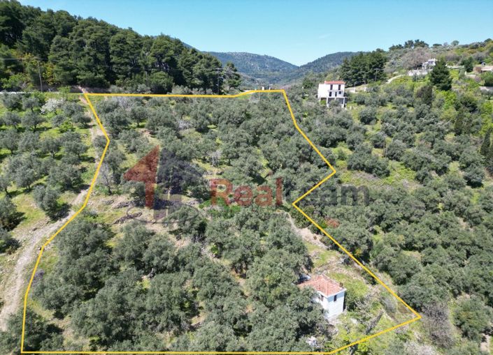 Image No.3-2 Bed Property for sale