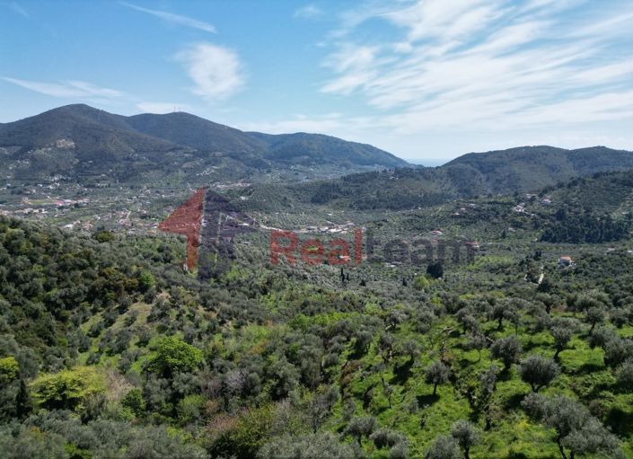 Image No.4-2 Bed Property for sale