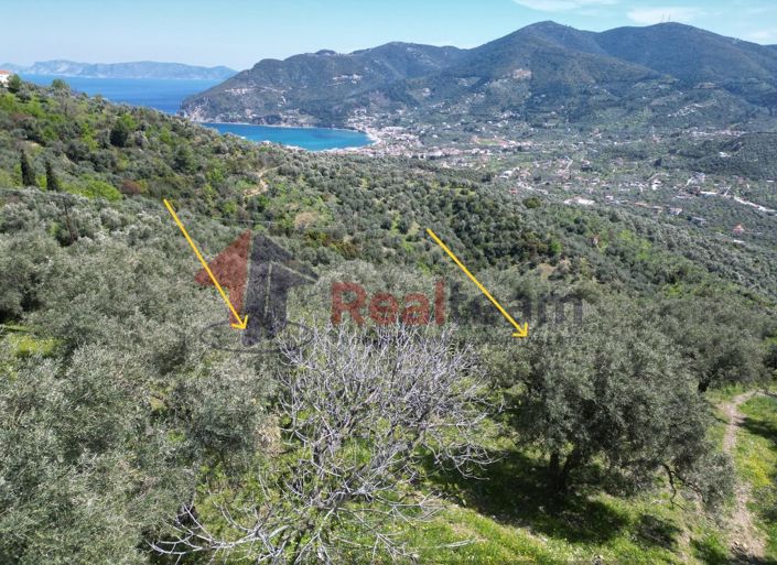 Image No.5-2 Bed Property for sale