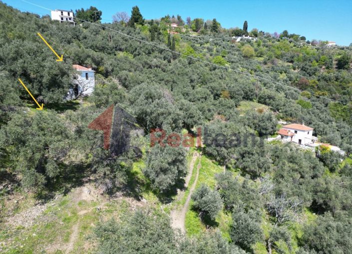 Image No.6-2 Bed Property for sale