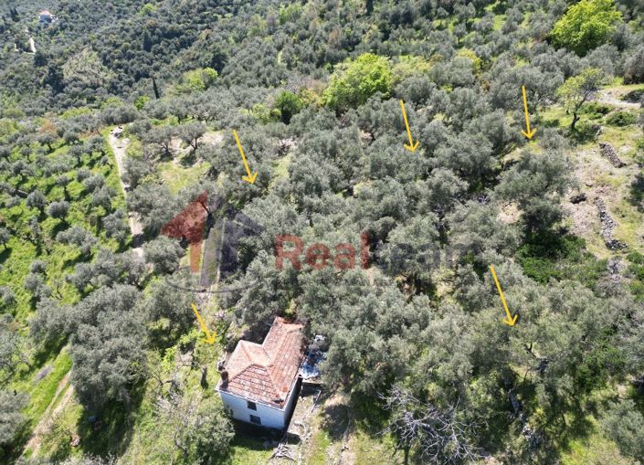 Image No.7-2 Bed Property for sale