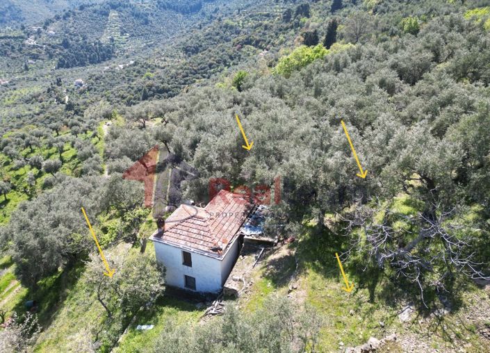 Image No.8-2 Bed Property for sale