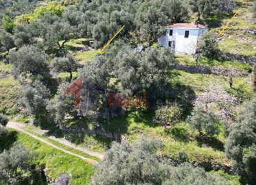 e6505130d62e4eb6a1cecbdb0491cb81