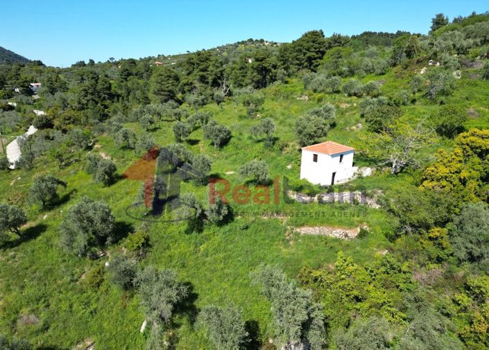 Image No.10-1 Bed Property for sale