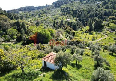 1e281ea257624040bb1bf44062755b24