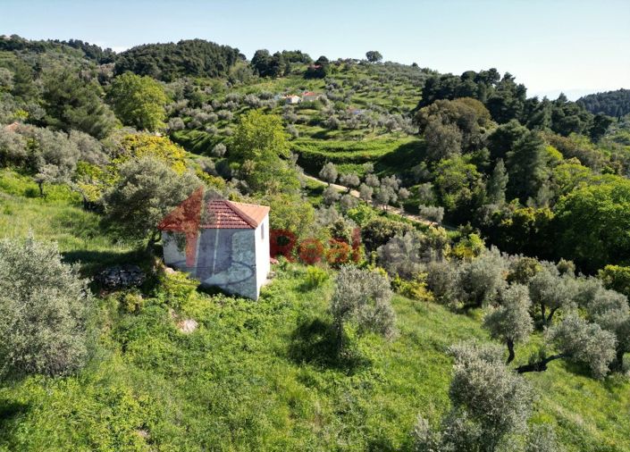 Image No.13-1 Bed Property for sale