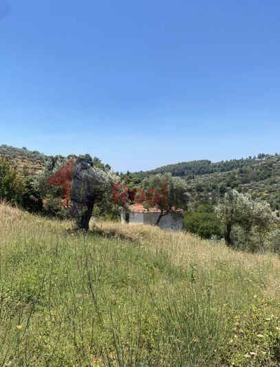 Image No.18-1 Bed Property for sale