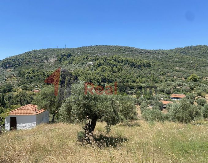 Image No.20-1 Bed Property for sale