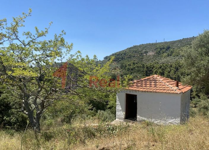 Image No.21-1 Bed Property for sale