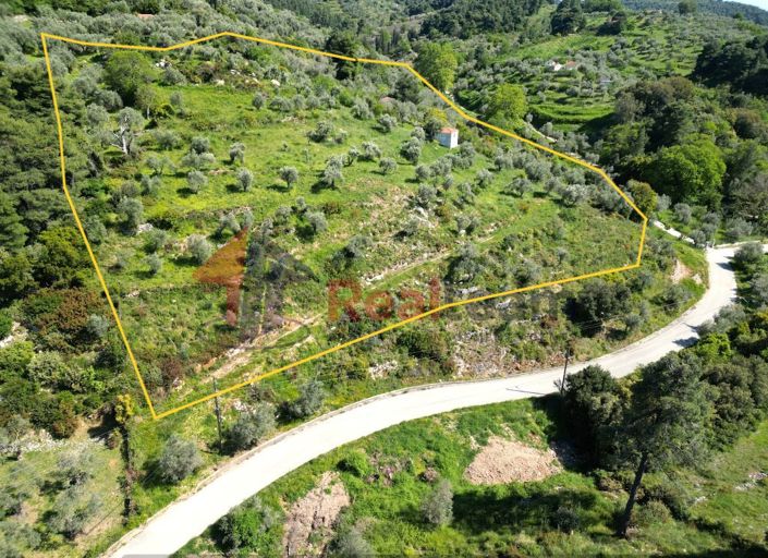 Image No.3-1 Bed Property for sale