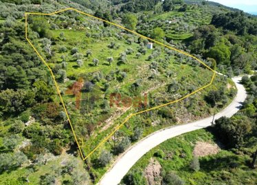 44361d186e0a43c6a77bd7f3e86fb9ec