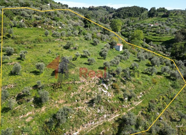 Image No.6-1 Bed Property for sale