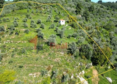 e23cbd05e95f49989e9bc779b5db7fdd