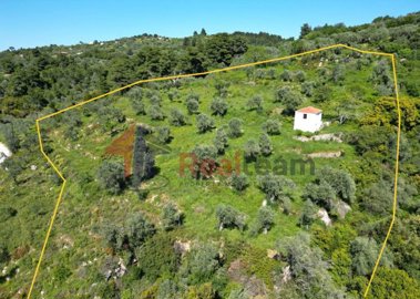 668190e1050c4232aae9dd3bc2749365