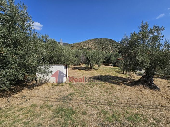 Image No.22-Propriété à vendre à Pteleos